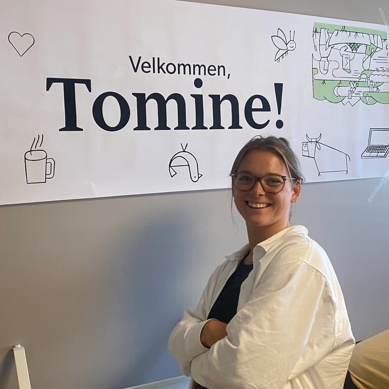 Tomine på Okse Oslo-kontoret