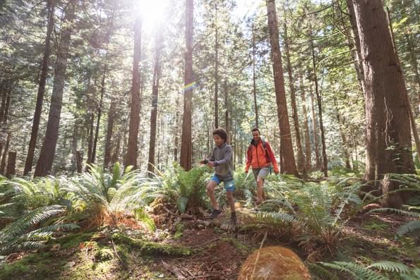 Mom and son hiking in a redwood forest