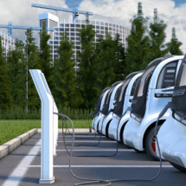 Row of electric vehicles plugged in to chargers