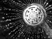 High efficiency showerhead