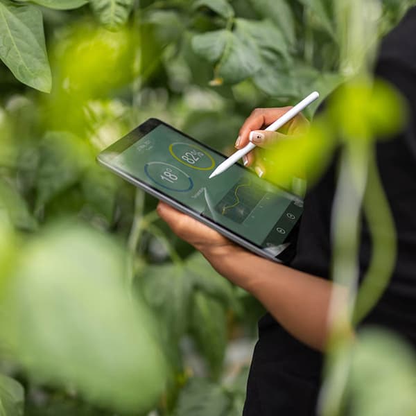 Energy professional working on a digital tablet in front of a plant wall