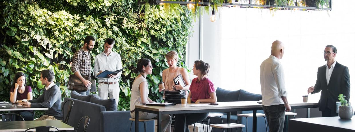 Groups of people meeting around the tables and couches of a trendy office building with a vertical green garden wall