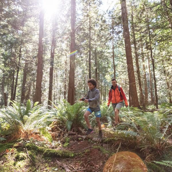 Mom and son walking through forest in sunshine