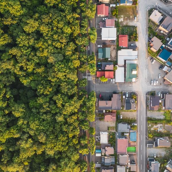 aerial view of neighborhood next to a forest
