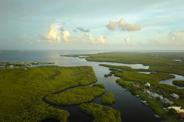 Landscape view of a marshland.