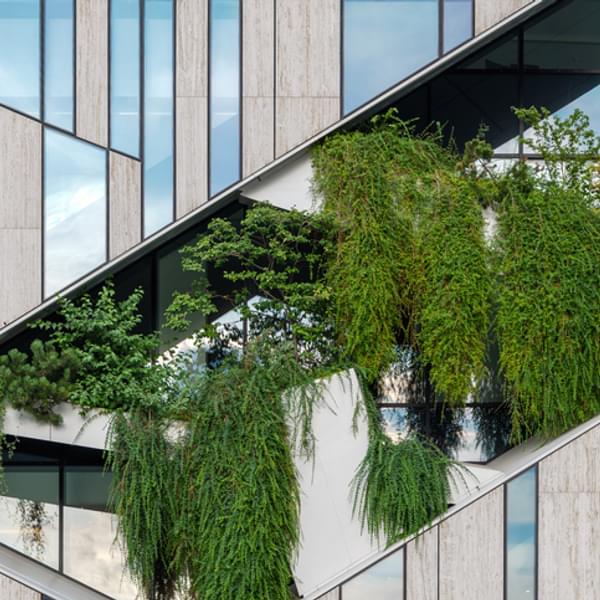 modern building with luscious plants growing on the balcony