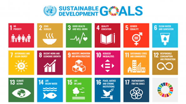 colorful sustainable goals graphic