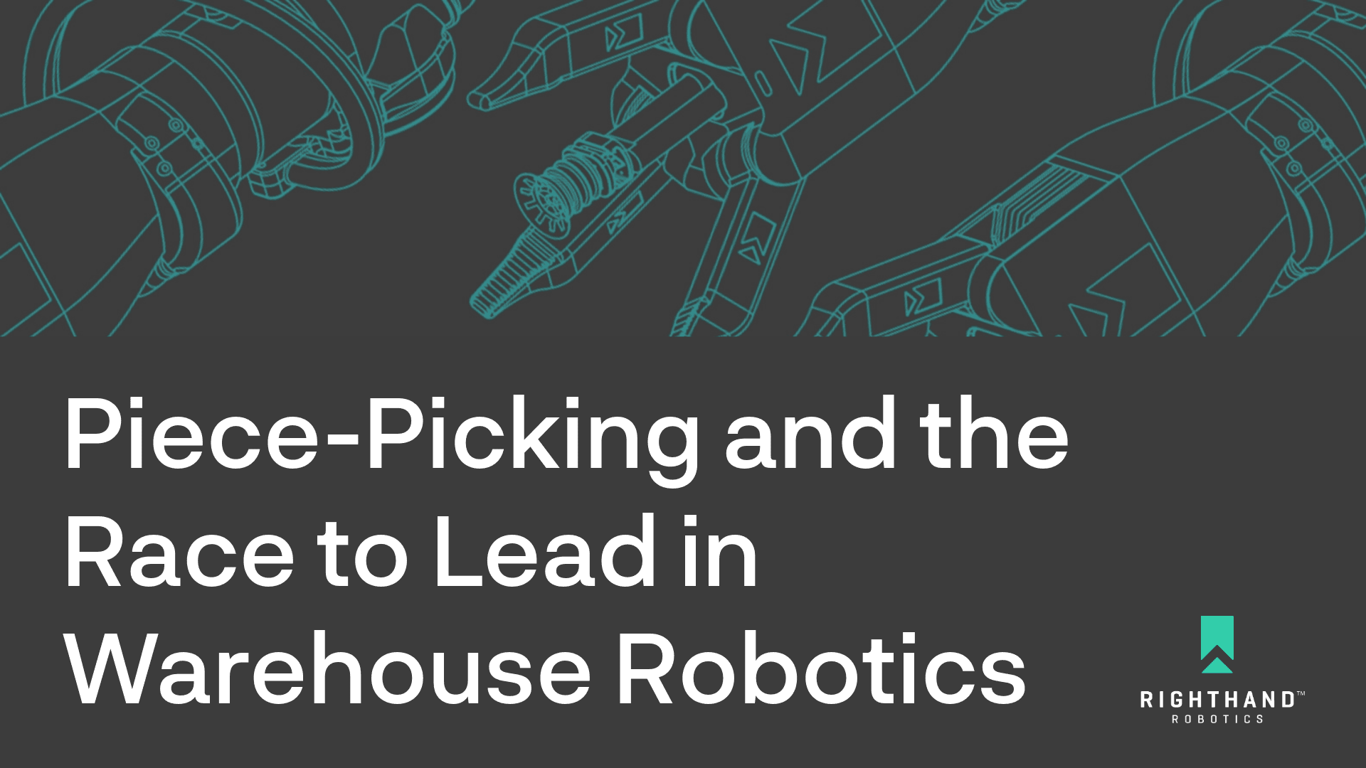 The Latest Article: Piece-picking and the race to lead in warehouse robotics