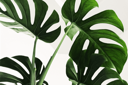 Blog Sobriety