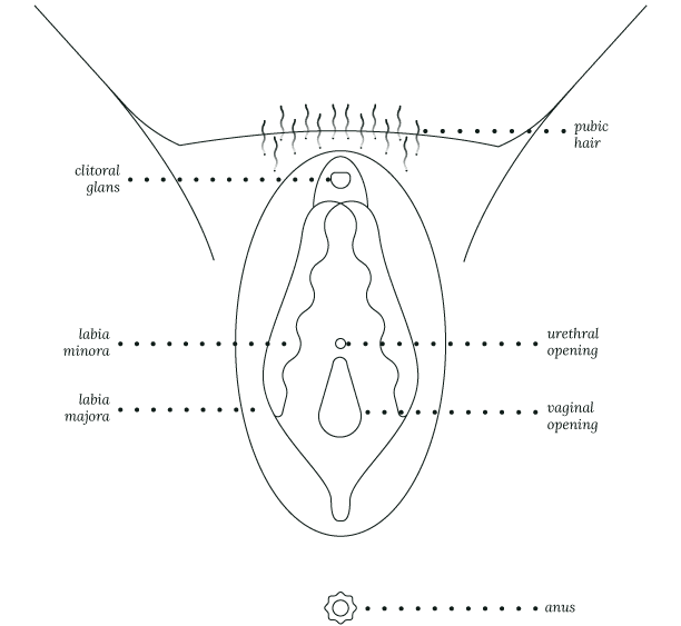 Viva La Vulva Coloring Sheet