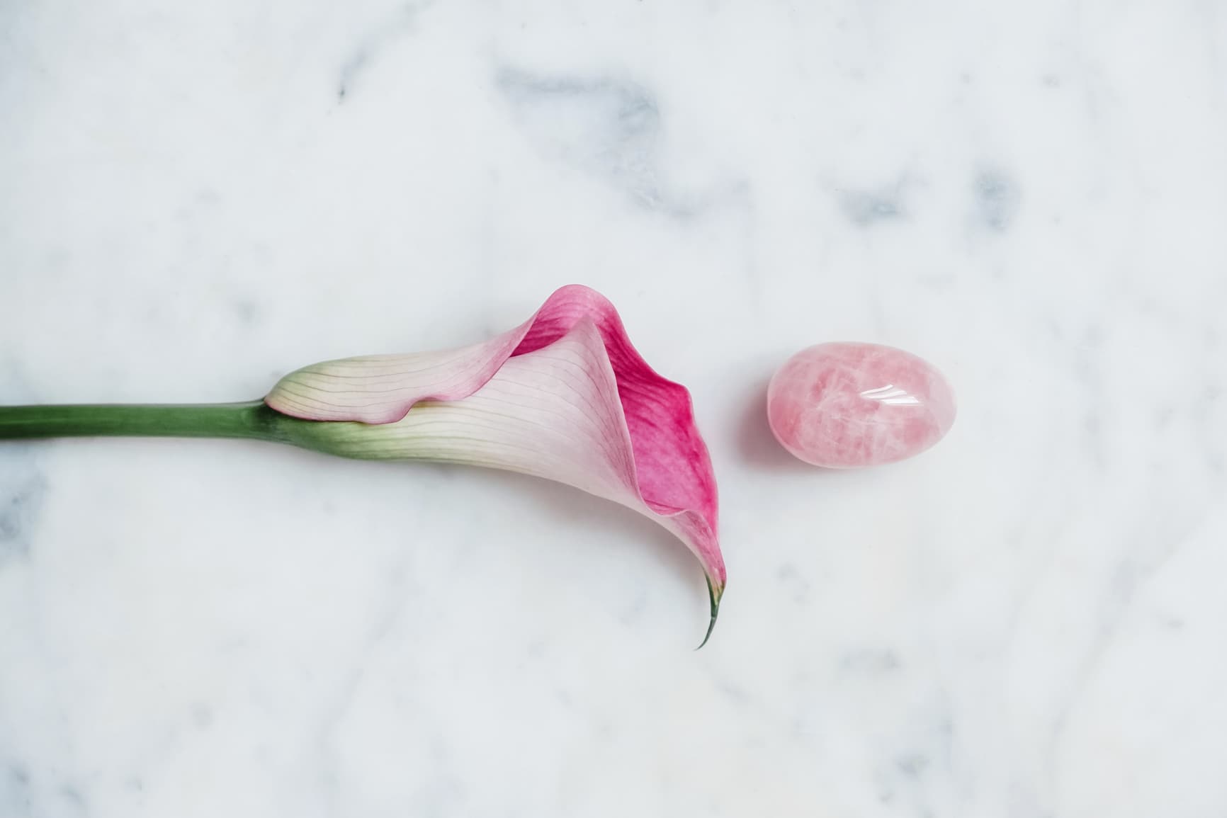 Wellness During Infertility