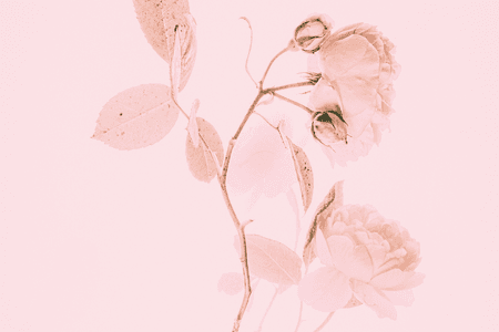Blog Cancer and Sexual