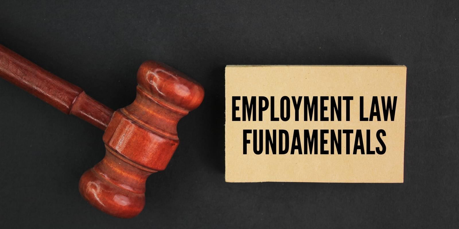 Big changes to employment law in 2026 - help is at hand!