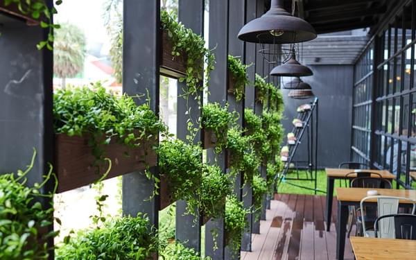 Building with Nature accreditation emphasises importance of green and blue infrastructure