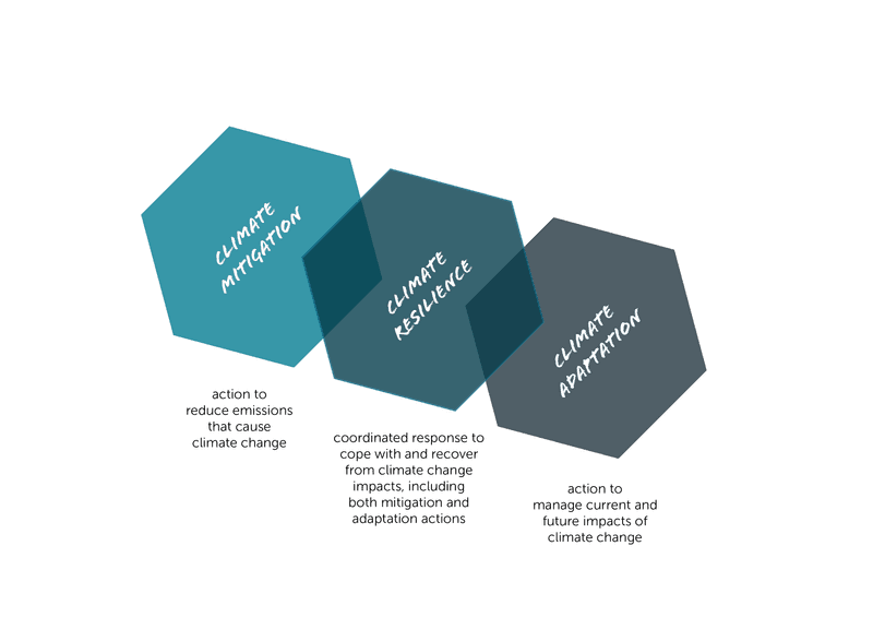 Web graphic