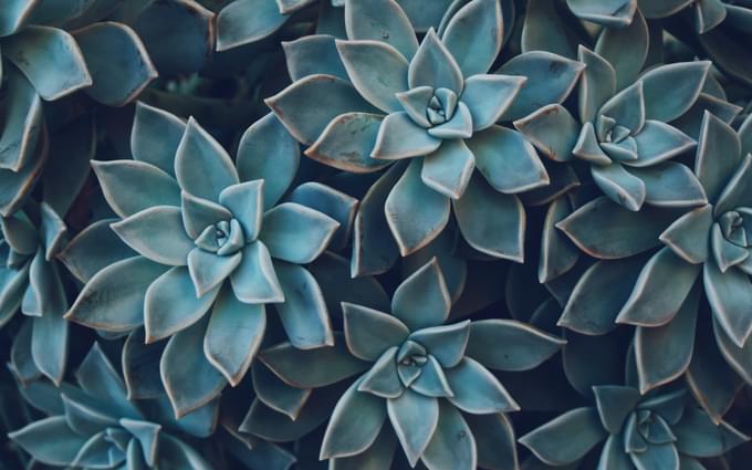 Profit boosting wellbeing