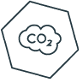 Carbon