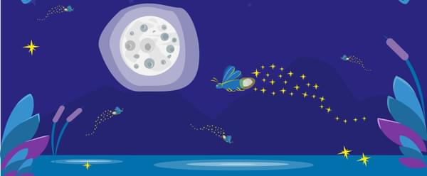 A cartoon drawing of a night time magical garden