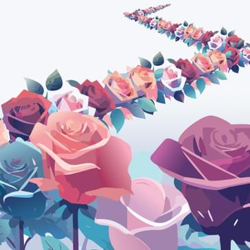 What S On The Roses What S On The Roses