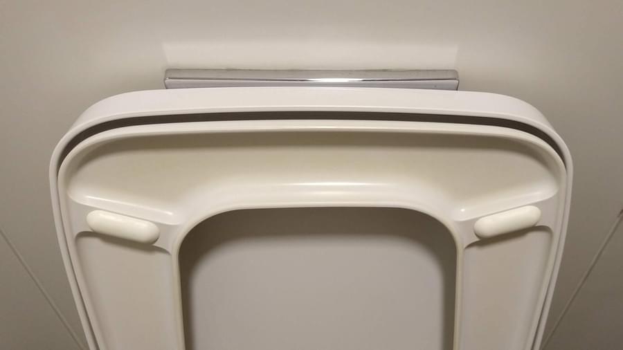 A raised toilet seat cover obscuring the dual flush buttons