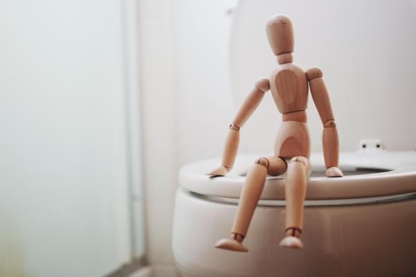 A wooden doll sitting on the edge of a toilet seat