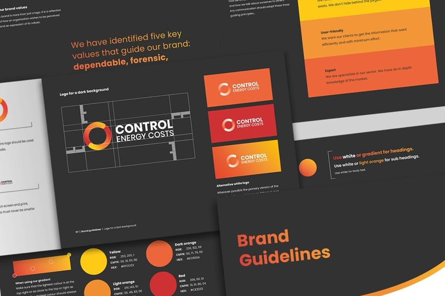 Logo rules and colour palette from the brand guidelines for Control Energy Costs