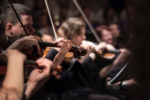 A group of people playing the violin.