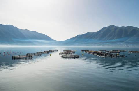 Fish farming