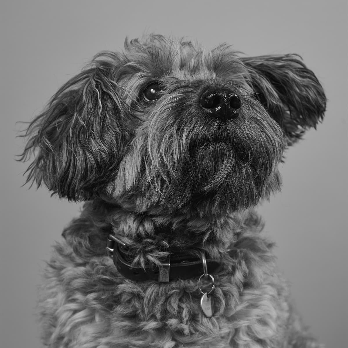 Walter