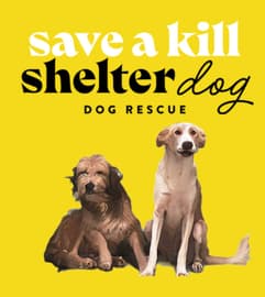 Save a Kill Shelter Dog