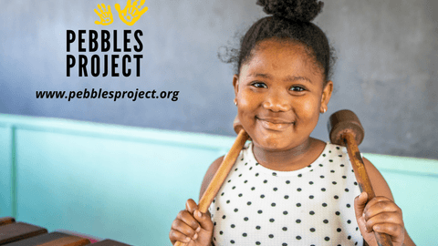 This is the Pebbles Project Story