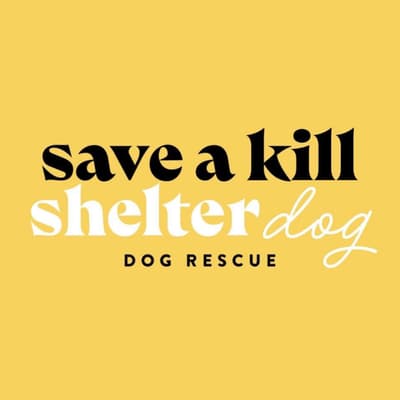 Benjamin and Eiras Story - Save a Kill Shelter Dog
