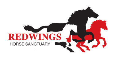 Redwings Horse Sanctuary