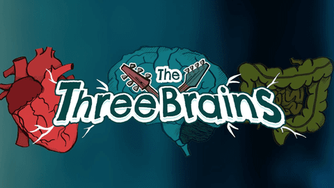 The Three Brains: Meet the Band