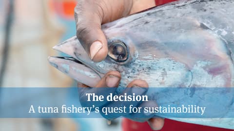 THE DECISION: A Tuna Fishery's Quest for Sustainability