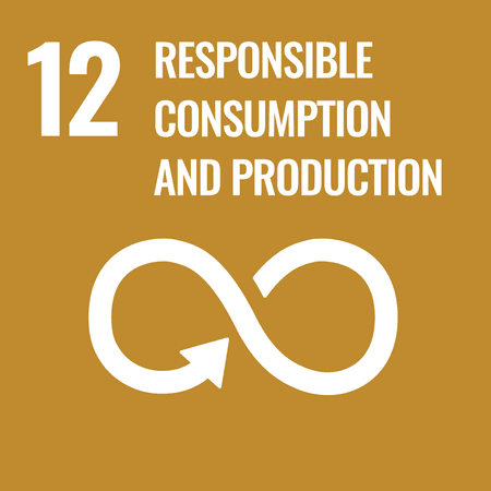 SDG Goal 12. Responsible Consumption And Production