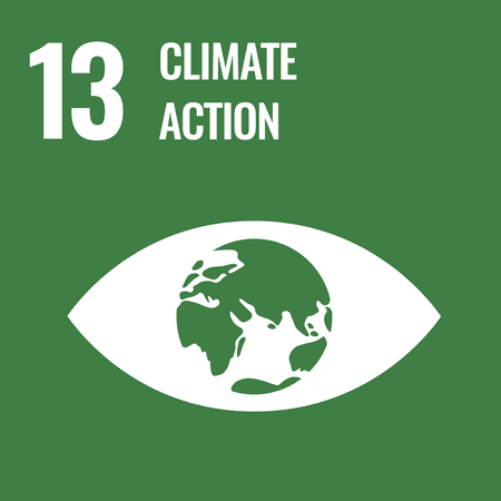 SDG Goal 13. Climate Action