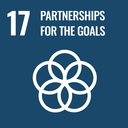 SDG Goal 17. Partnerships For The Goals