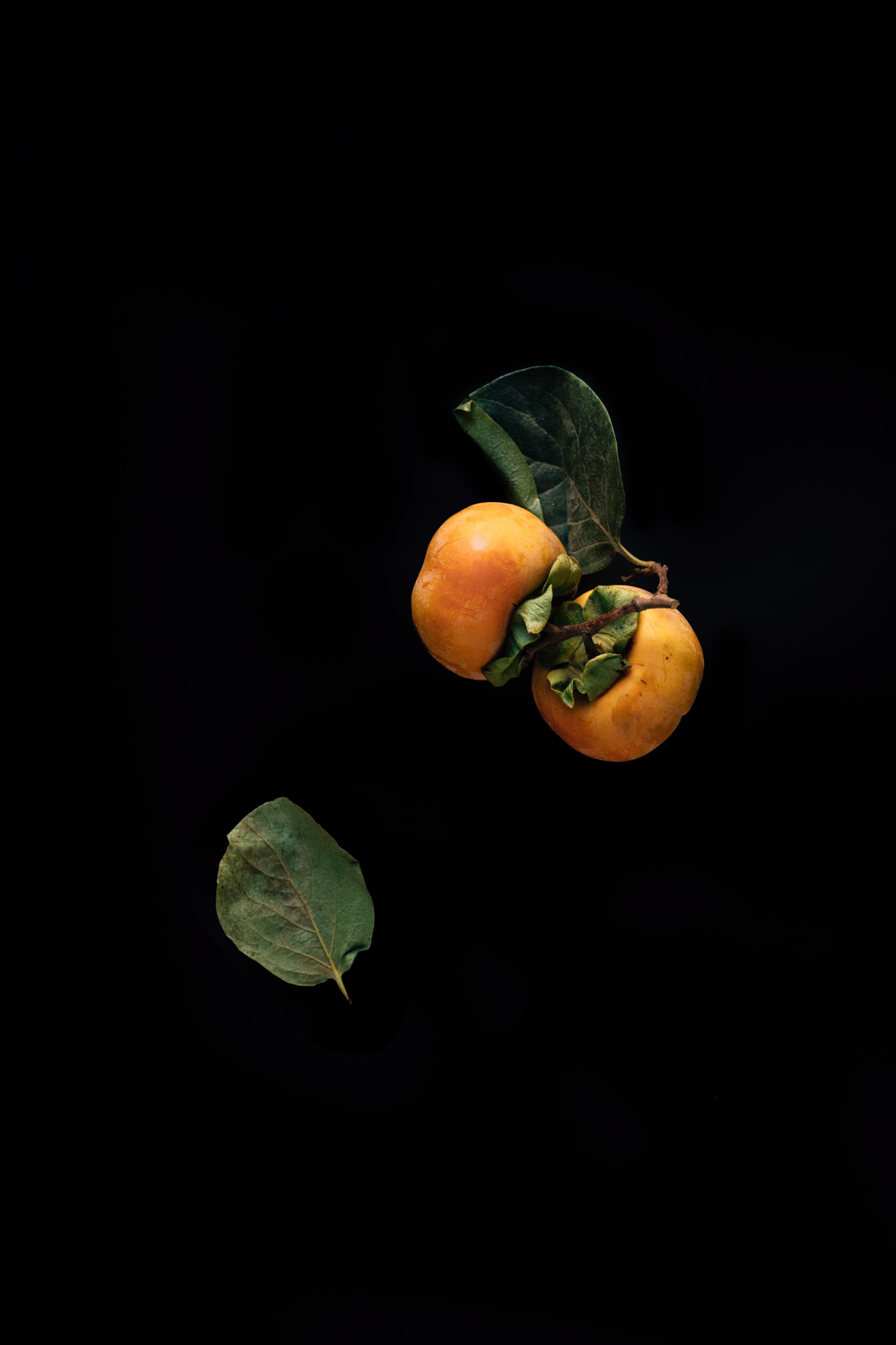 Erol, Two Persimmons