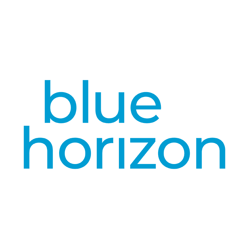 Kieran Mahanty - Director in the Growth team, Blue Horizon