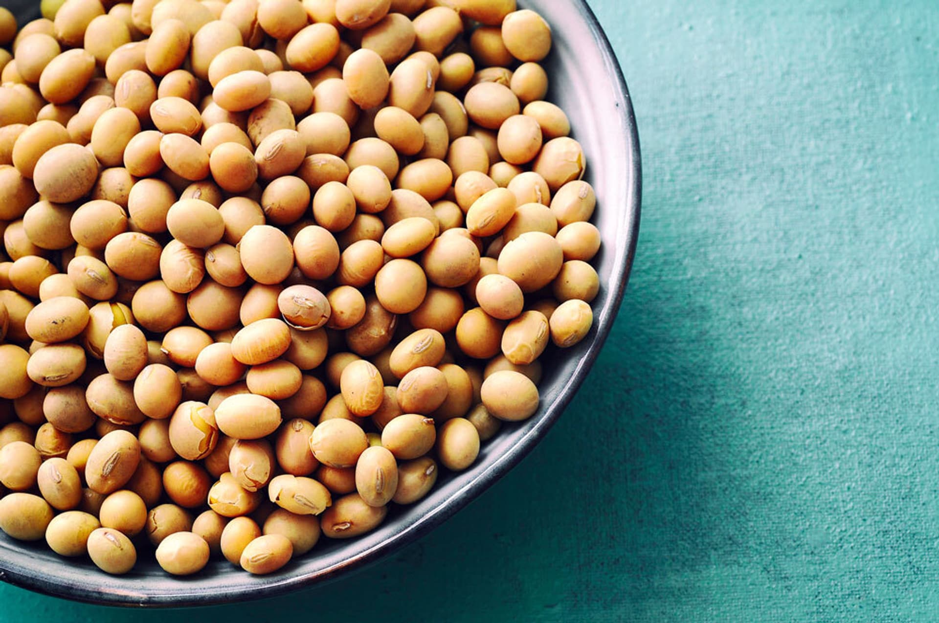 Hülsenfrüchte im Überblick | Schrot&Korn
