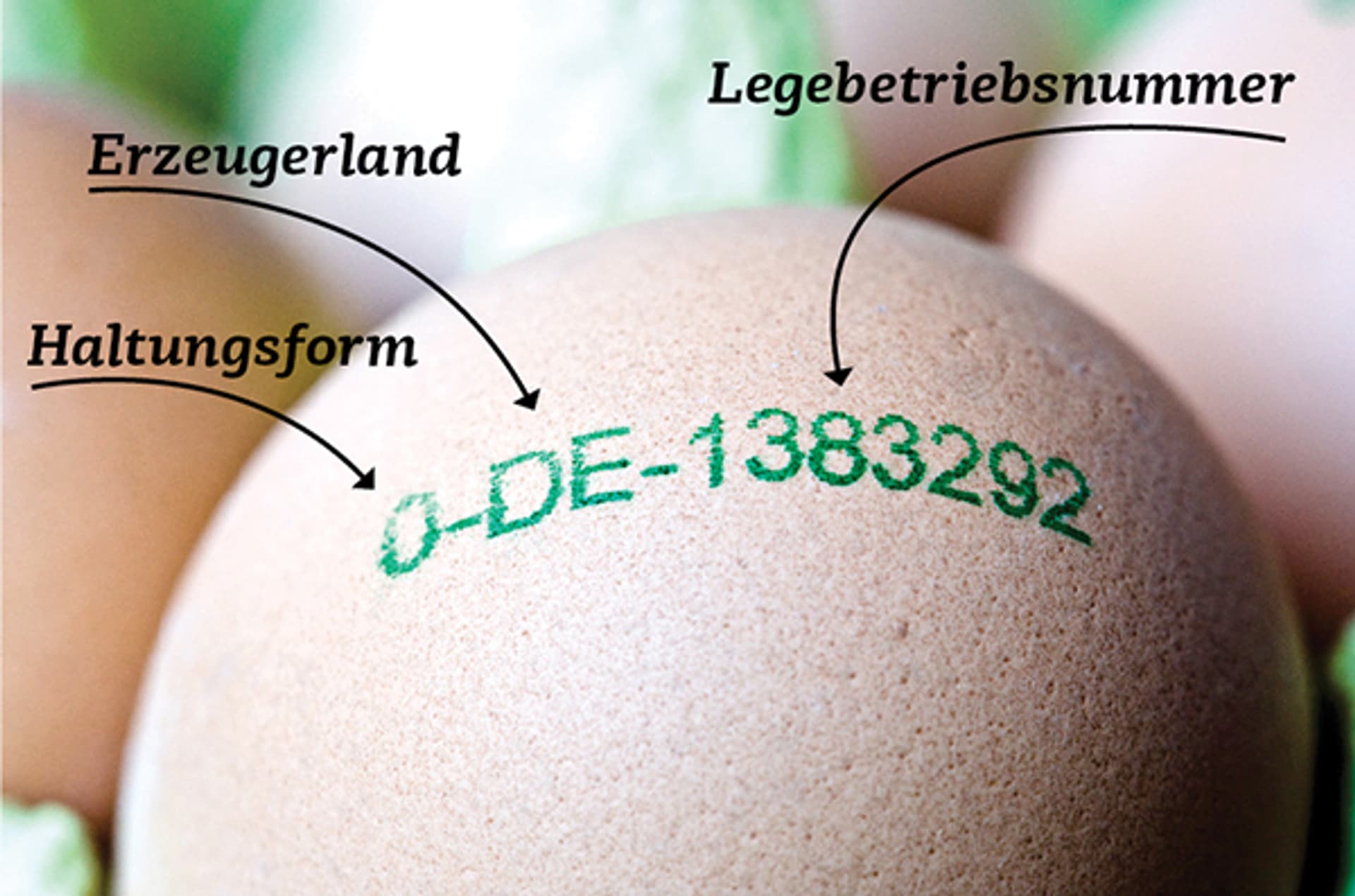 Was bedeutet die Nummer auf dem Ei? Schrot&Korn Was bedeutet die Nummer auf dem Ei? Schrot&Korn