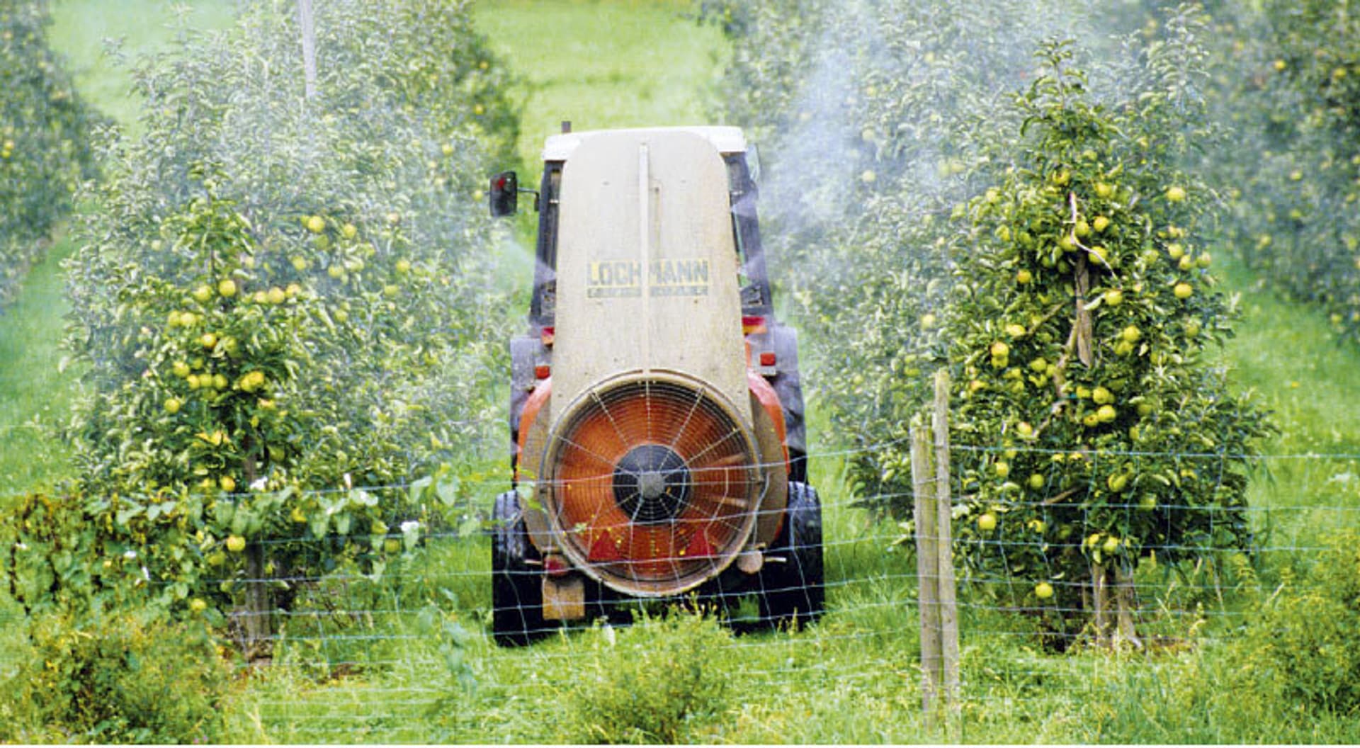 Pestizide greenpeace