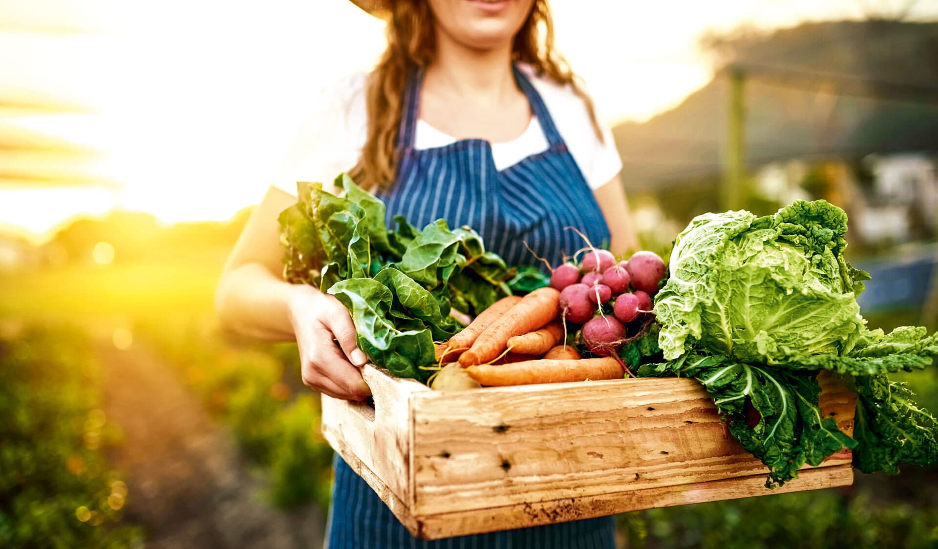 Frau mit Gemüsekorb, Feld im Hintergrund