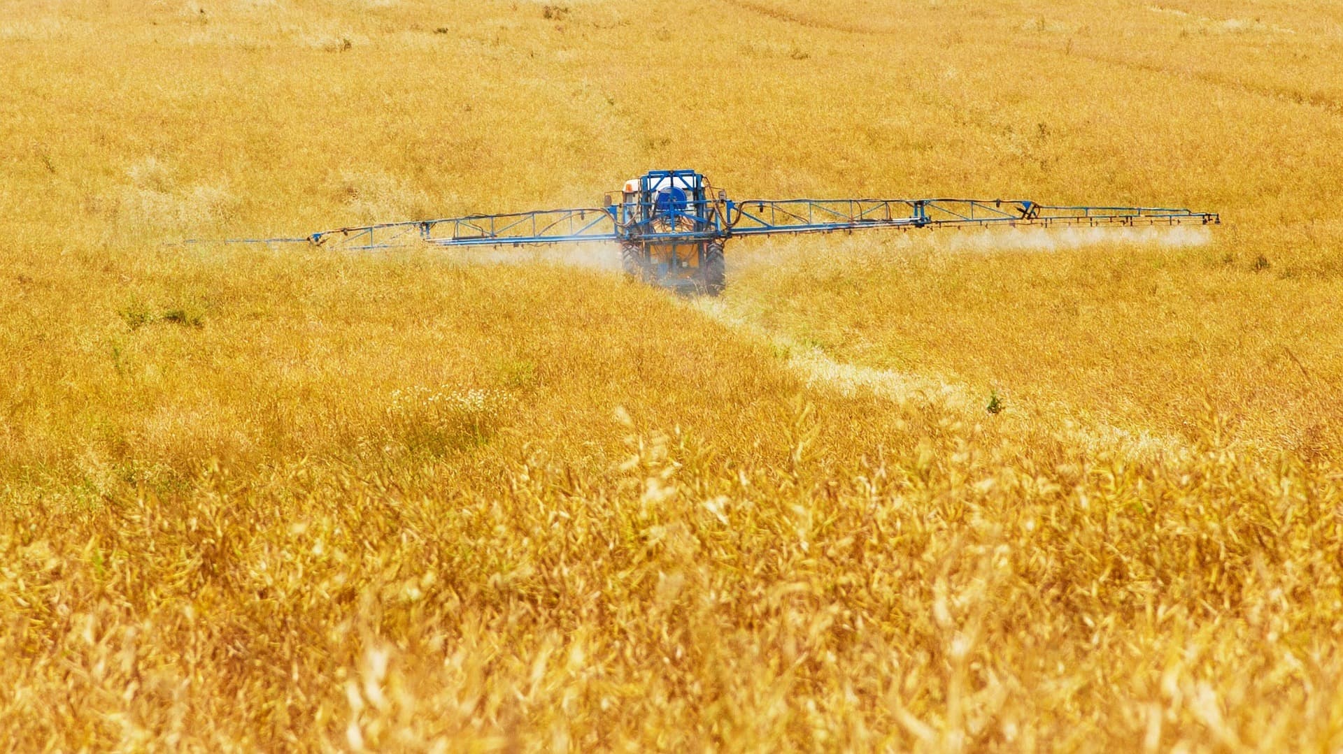 Pestizide werden auf Feld versprüht