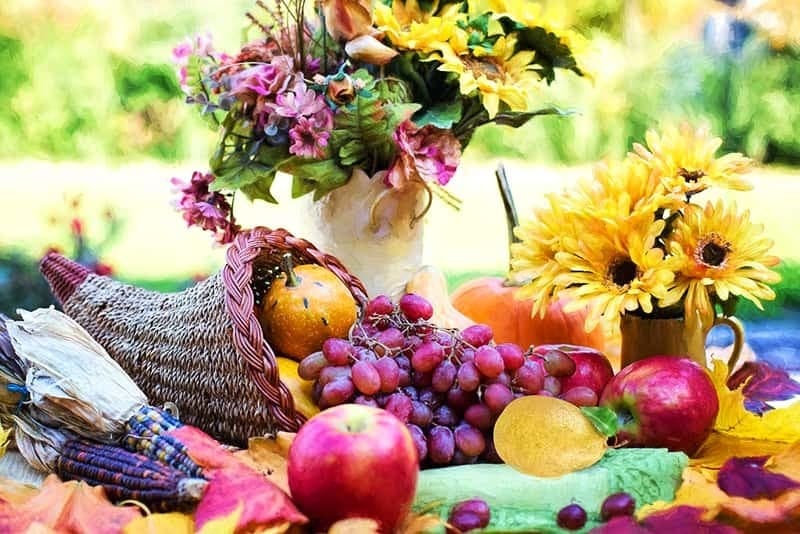 11419 sparks sponsor thanksgiving cover