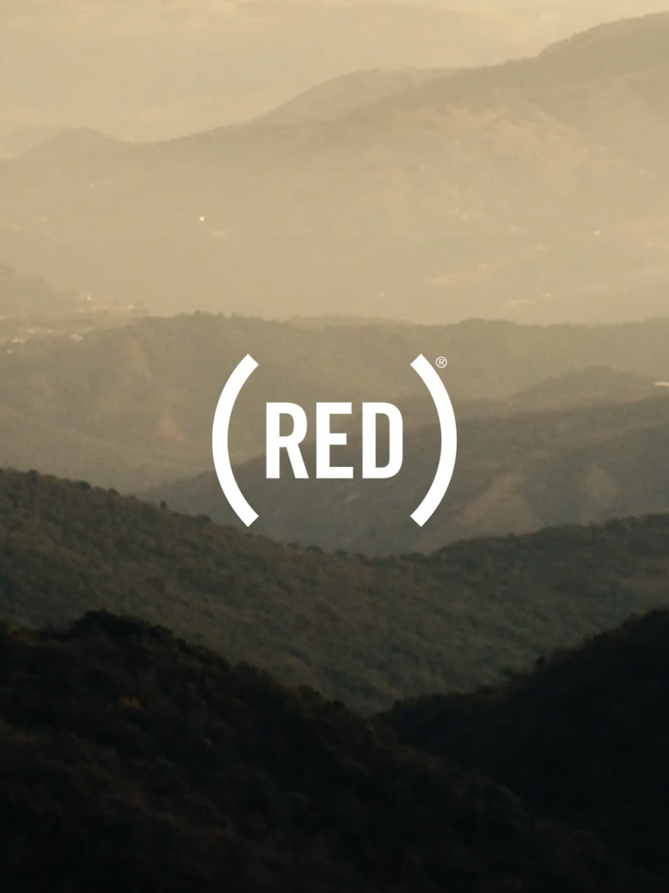 Salesforce RED Hero Image