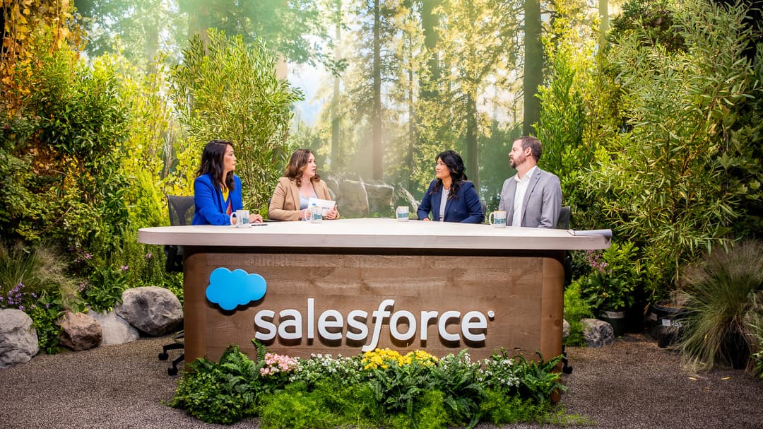Salesforce dreamforce 14
