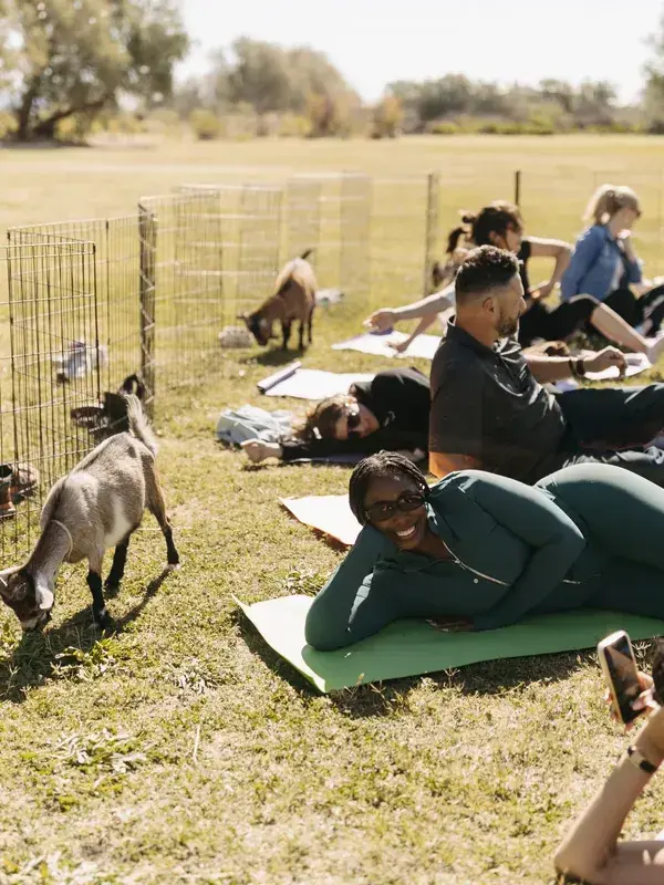 Sparks First Light Goat Yoga Group