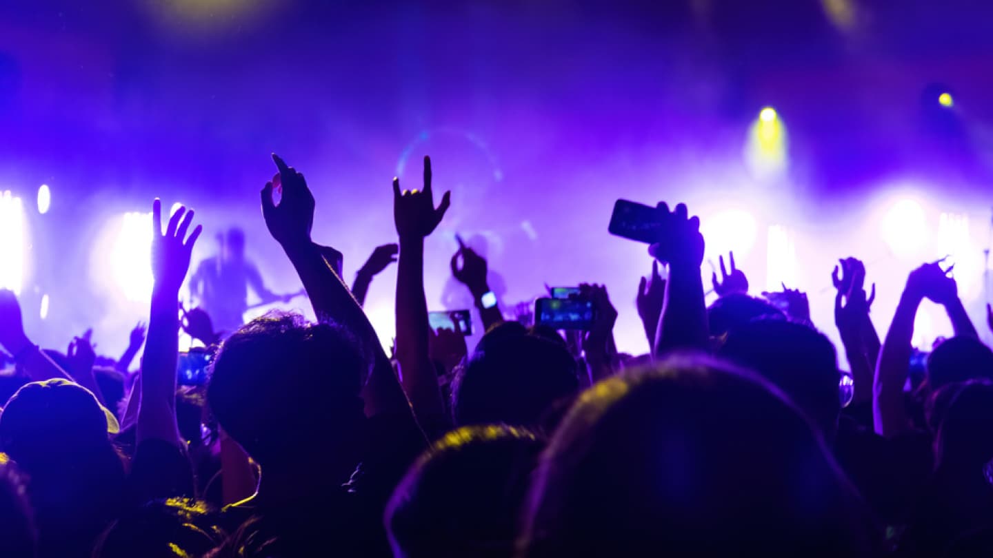 Fan Culture